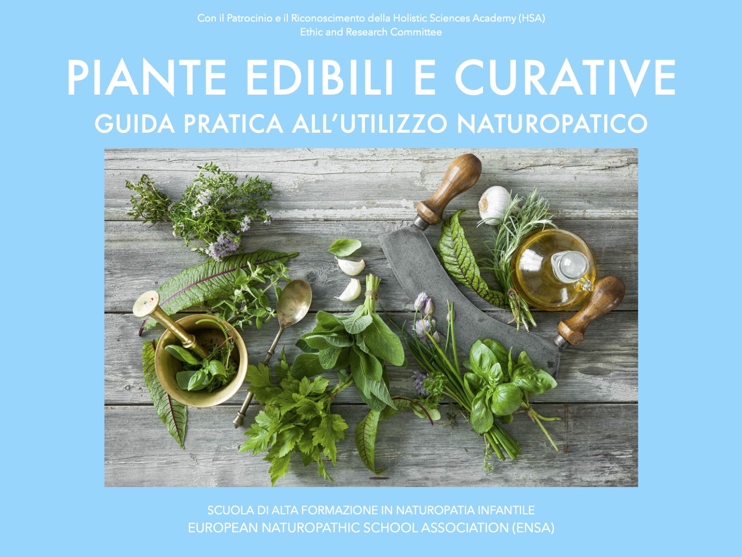 Piante edibili e curative