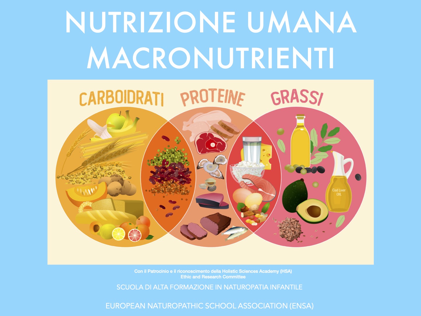 Nutrizione umana 1