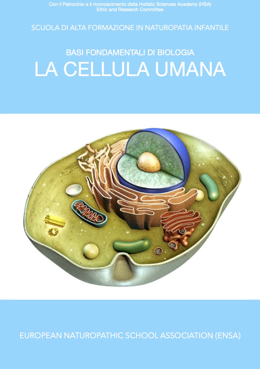 La cellula umana