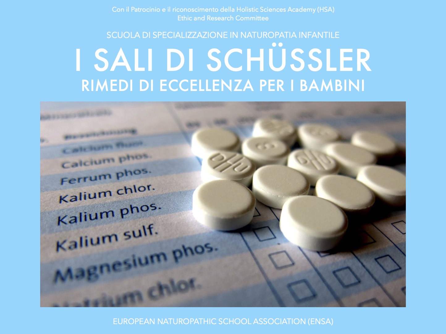 I sali di Schussler