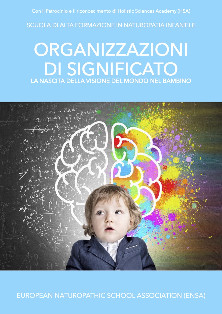 Organizzazioni di significato